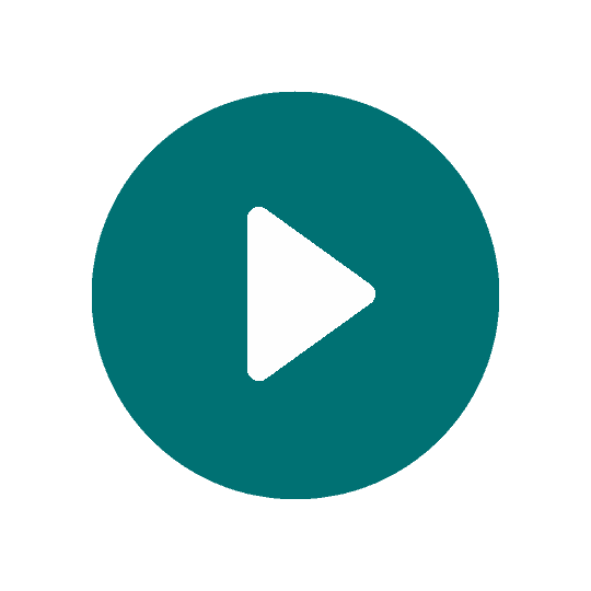 video icon (1)