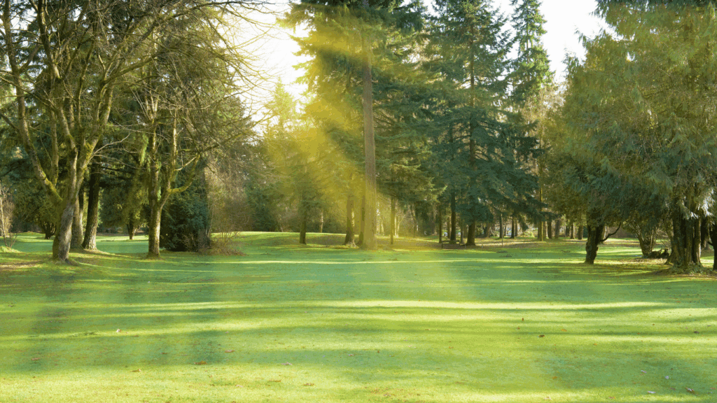 open green space 