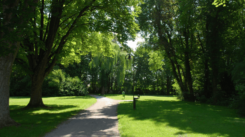 park