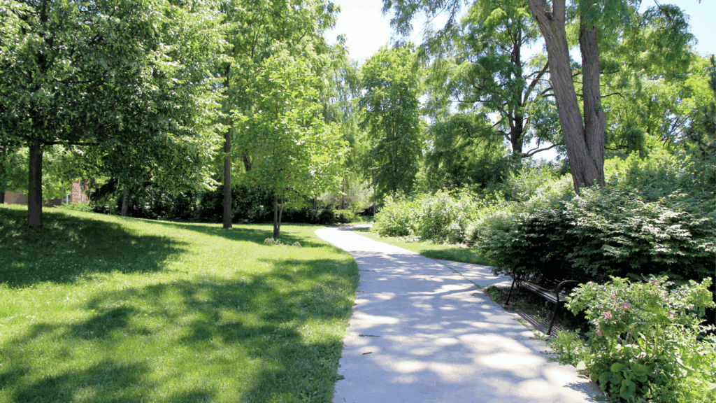 park