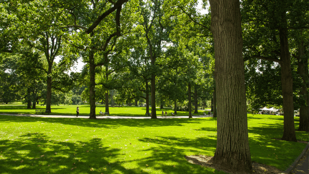 roma street parklands