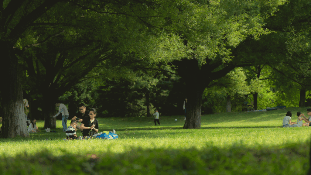 park